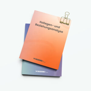 Paket: Kollegen- und Beziehungsanalyse 
